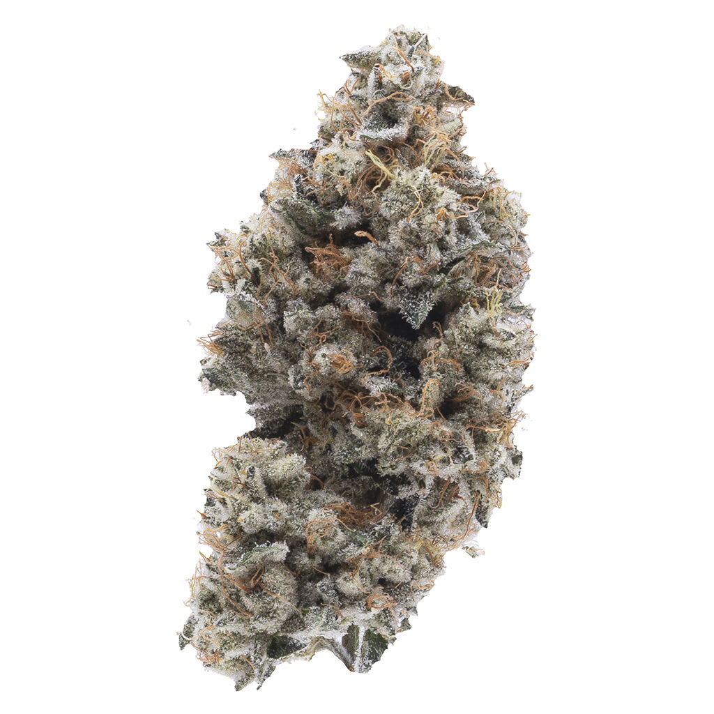 Northern Canna - Frosted Guava Nuts 3.5g