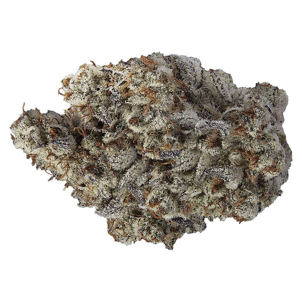 VOLO - Beast Jars - 14g