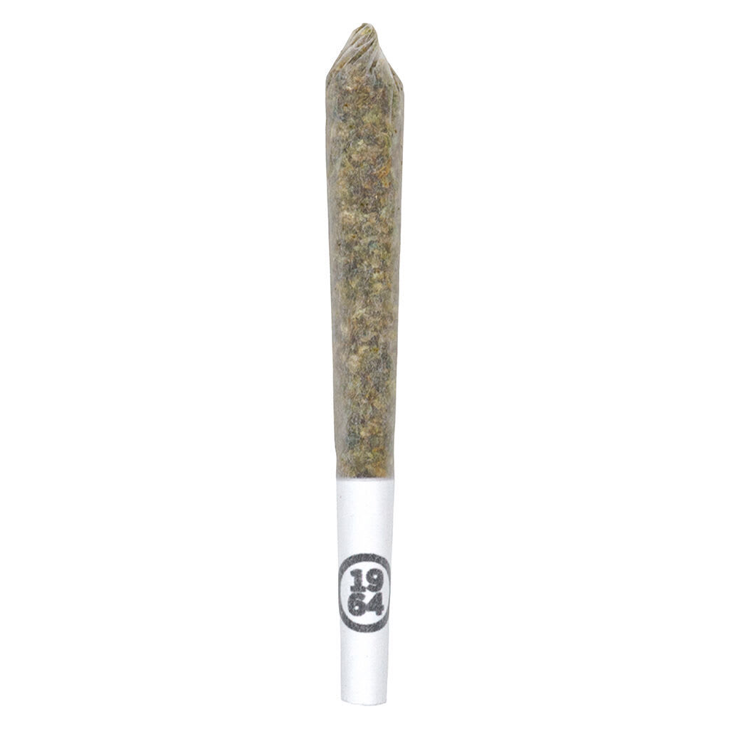 1964 - Stinky Pinky Pre-Roll 14x0.5g