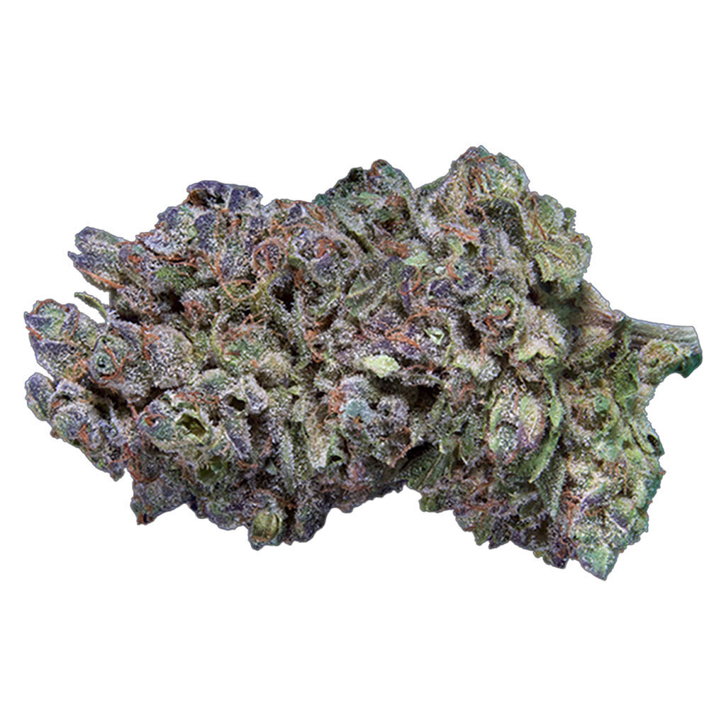 Qwest - Platinum Gas 7g