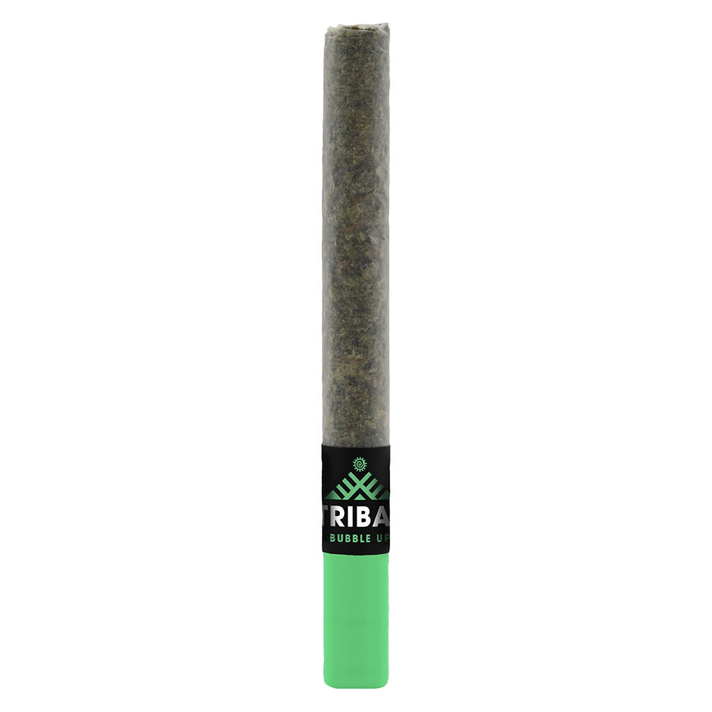 Tribal - Bubble Up Ceramic Tip Pre-Roll 1x1g