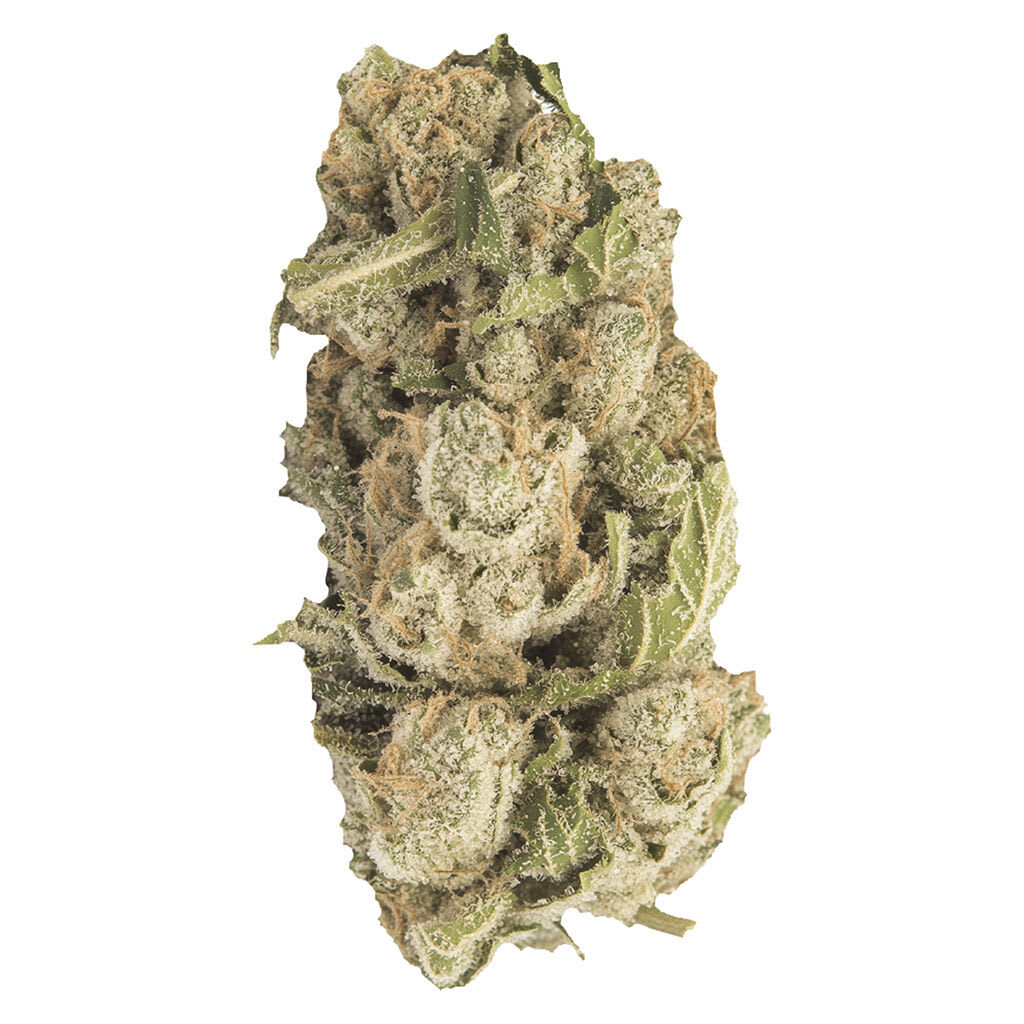 Contraband - Sherblato 28g