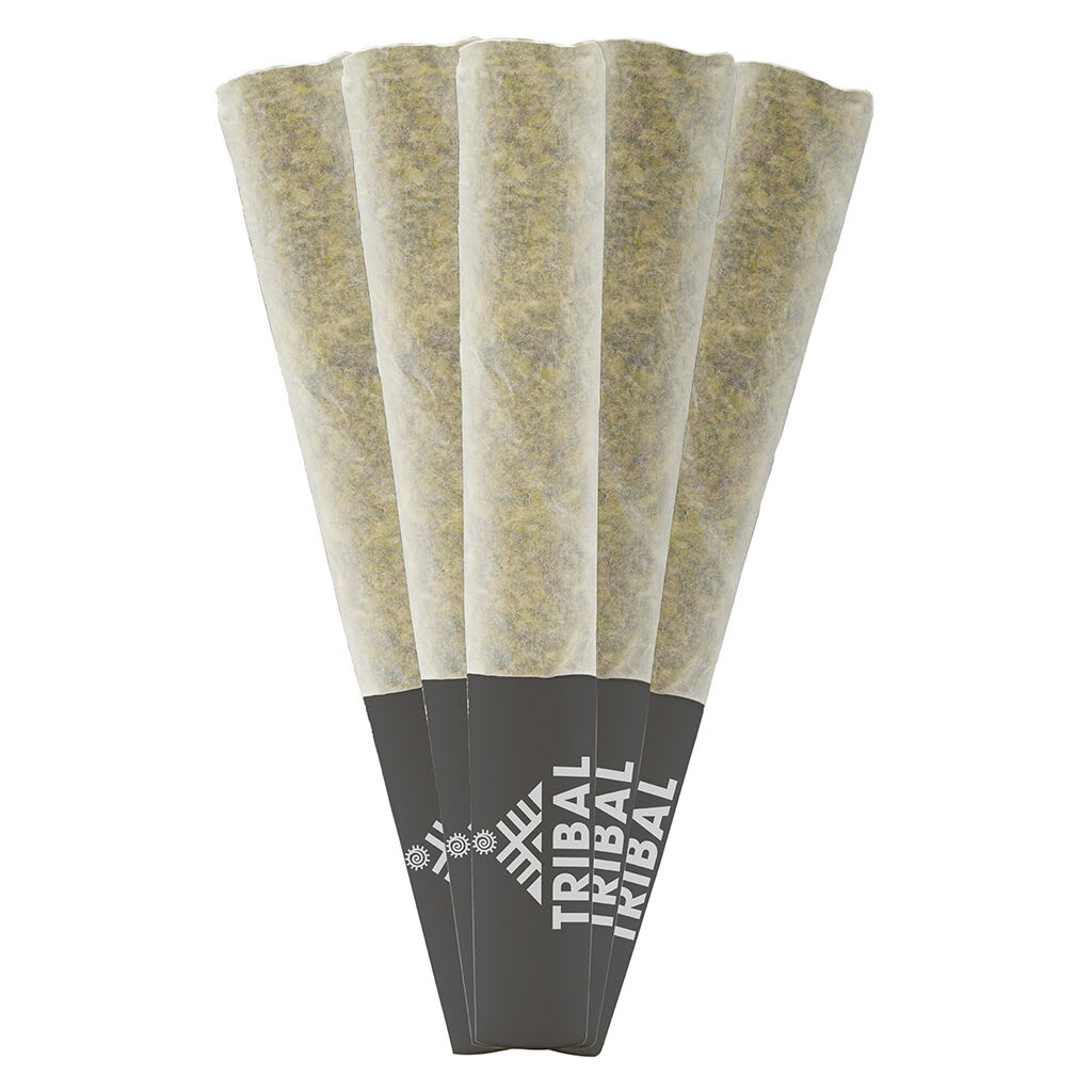 Tribal - Porto Leche Pre-Roll 5x0.5g Pre-Rolls