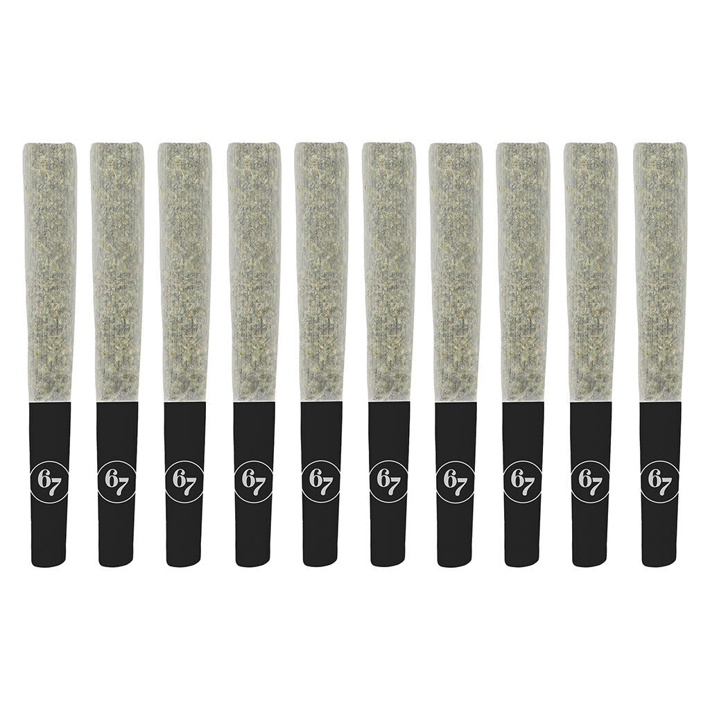 Sixty Seven Sins - Canadian Chill Pre-roll - 10x0.5g